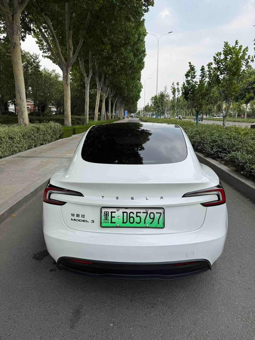 Tesla Model 3 2025 #7 Tesla Model 3 2025 immagine di auto #7