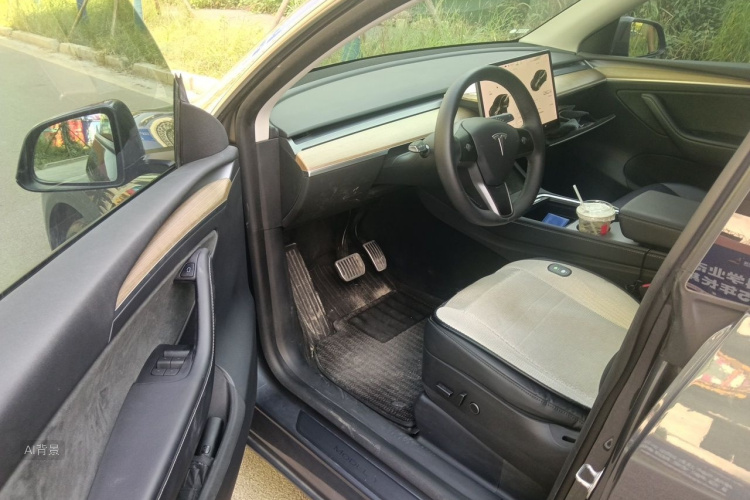 Tesla Model Y 2021 #18 Tesla Model Y 2021 صورة سيارة #18