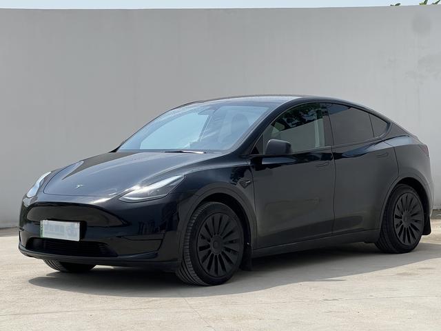 Tesla Model Y 2023 car image #18