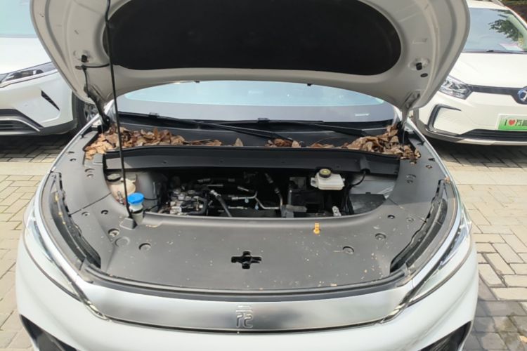 BYD Yuan Plus 2023 car image #20