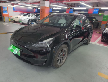 Tesla Model Y 2023 Tesla Model Y 2023 car image