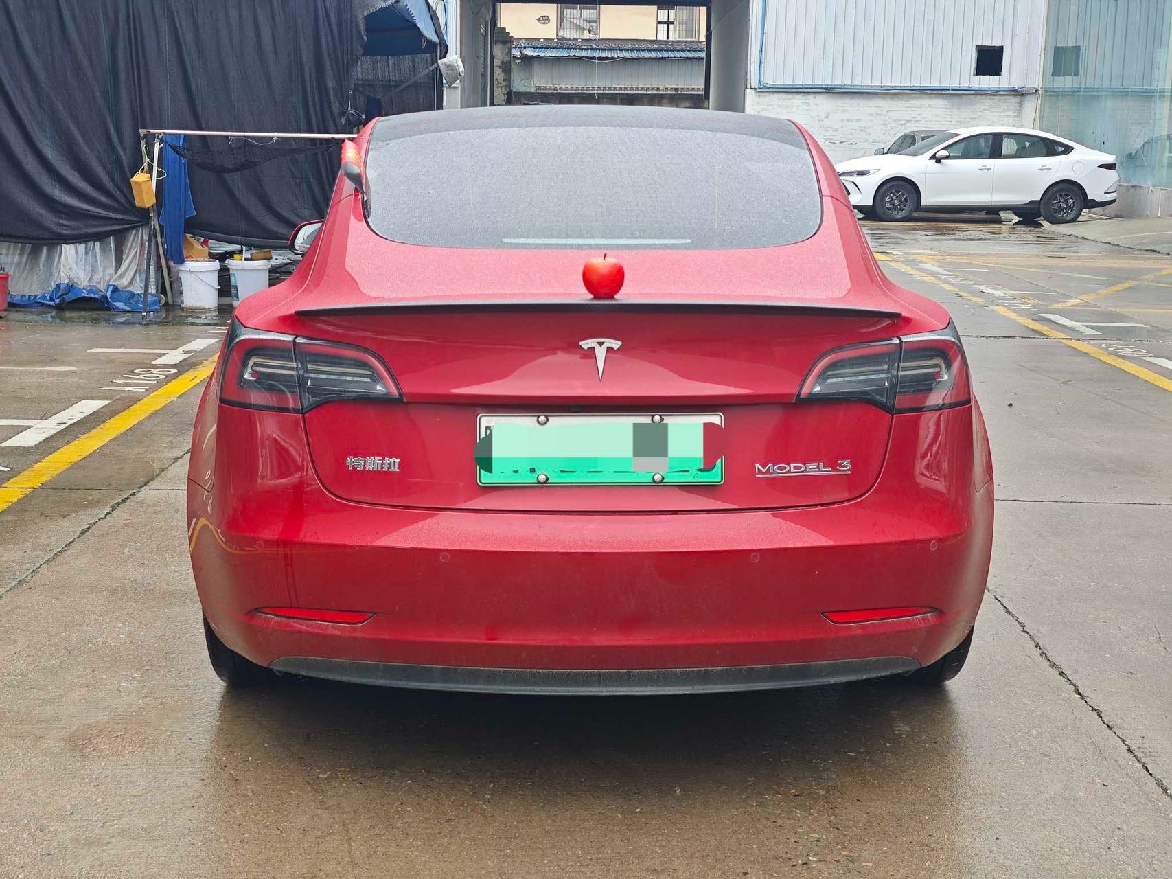Tesla Model 3 2022 #3 Tesla Model 3 2022 car image #3