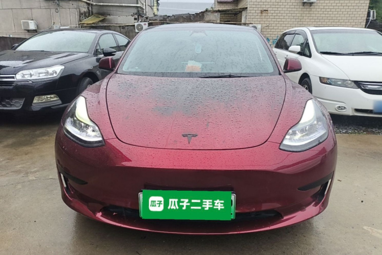 Tesla Model 3 2021 #3 Tesla Model 3 2021 car image #3