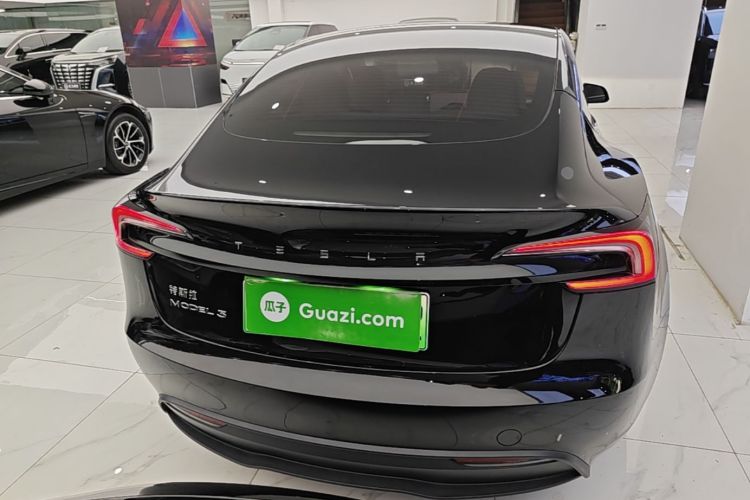 Tesla Model 3 2023 car image #6