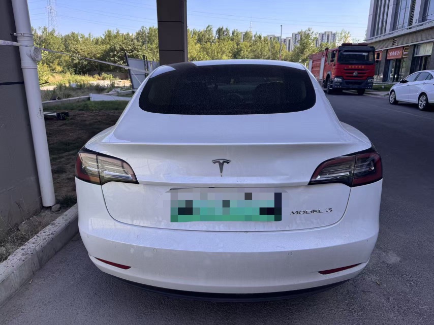 Tesla Model 3 2020 immagine di auto #3