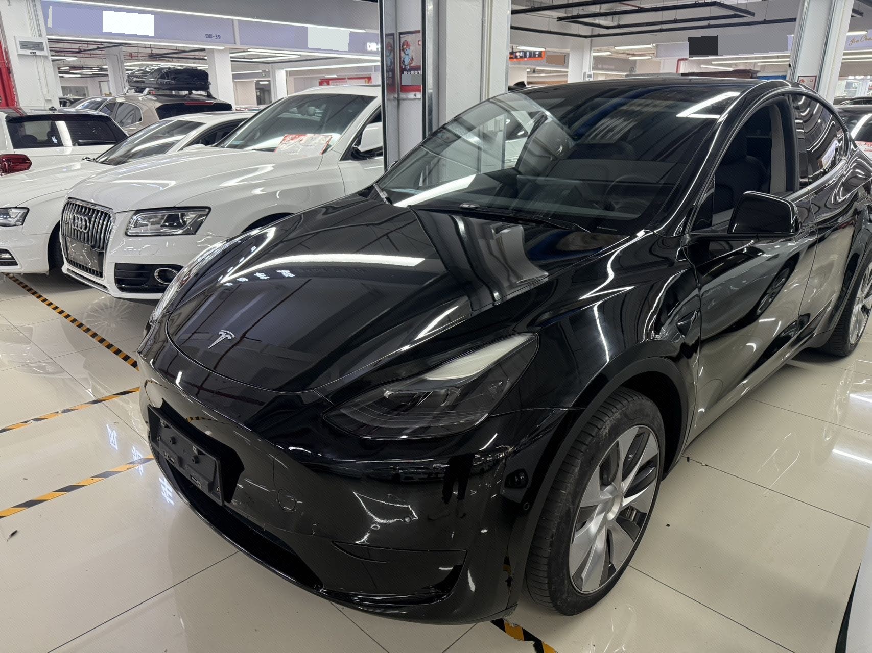 Tesla Model Y 2023 car image 