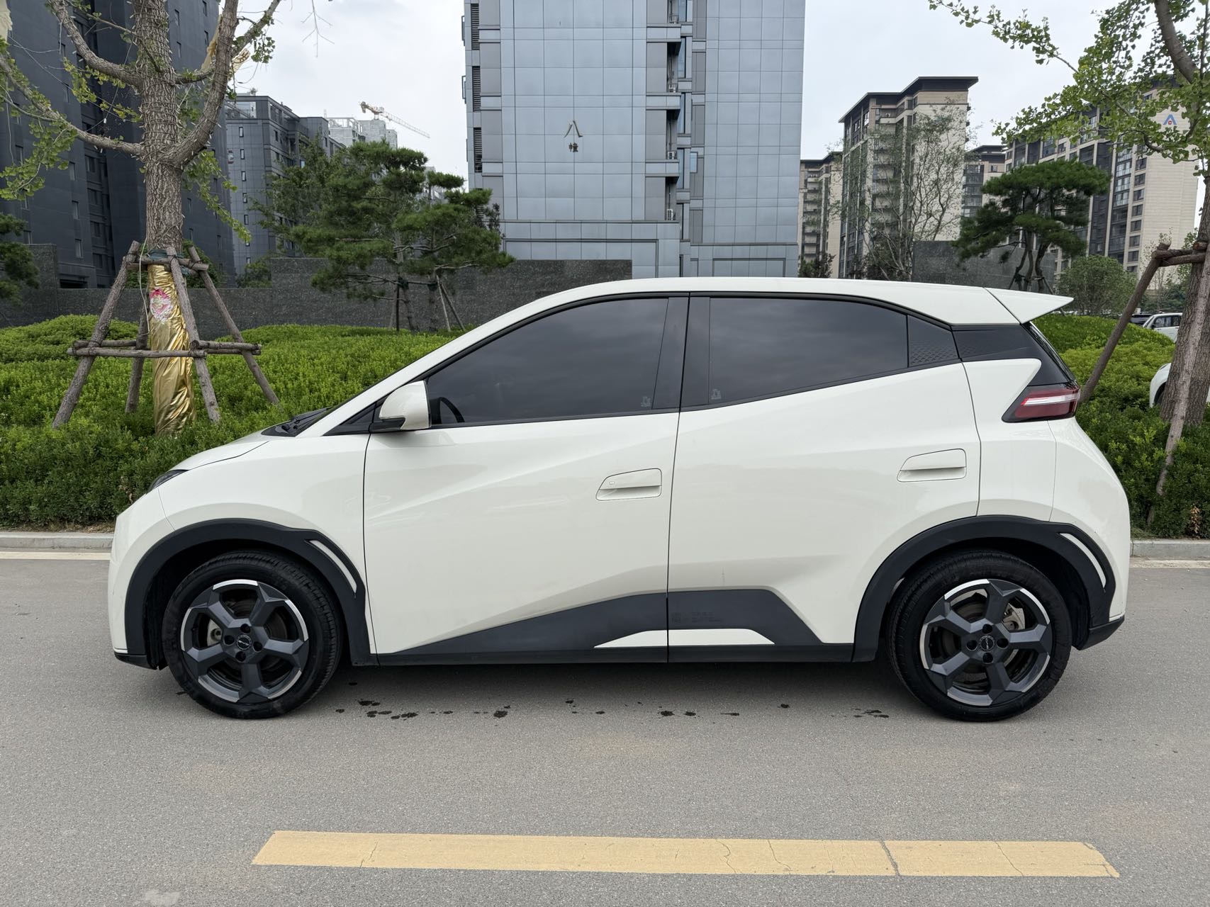 BYD Seagull 2024 car image #2