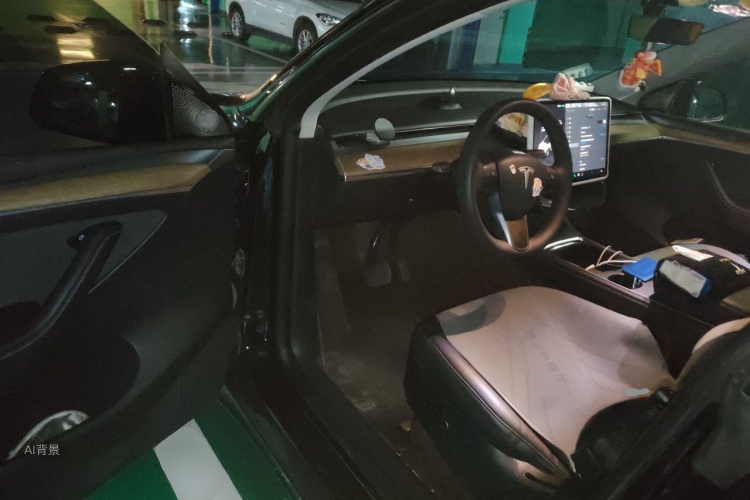 Tesla Model Y 2023 car image #18