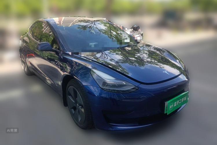 Tesla Model 3 2021 #4 Tesla Model 3 2021 car image #4