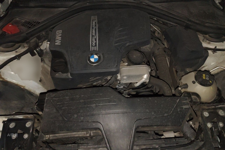 BMW 3 Series 2016 car image #22