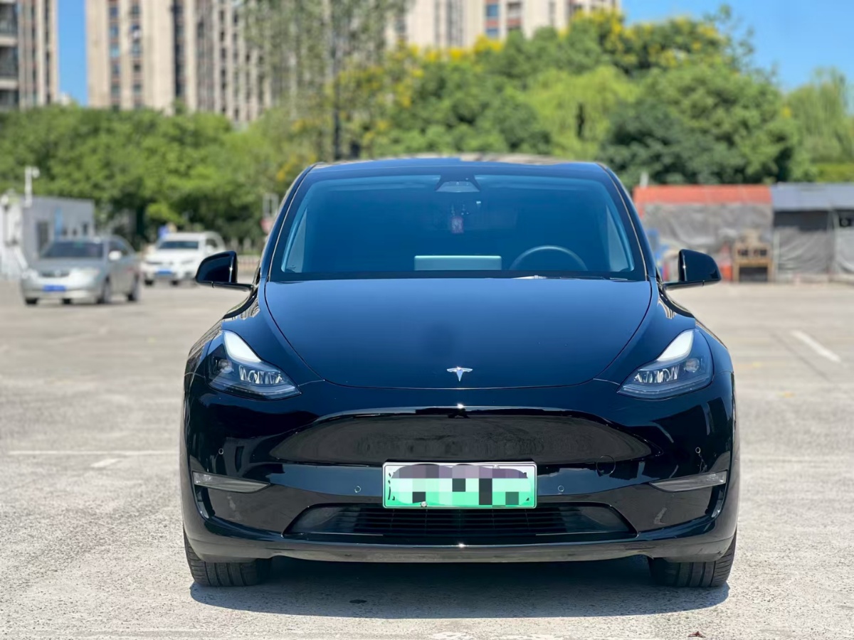 Tesla Model Y 2021 #2 Tesla Model Y 2021 car image #2
