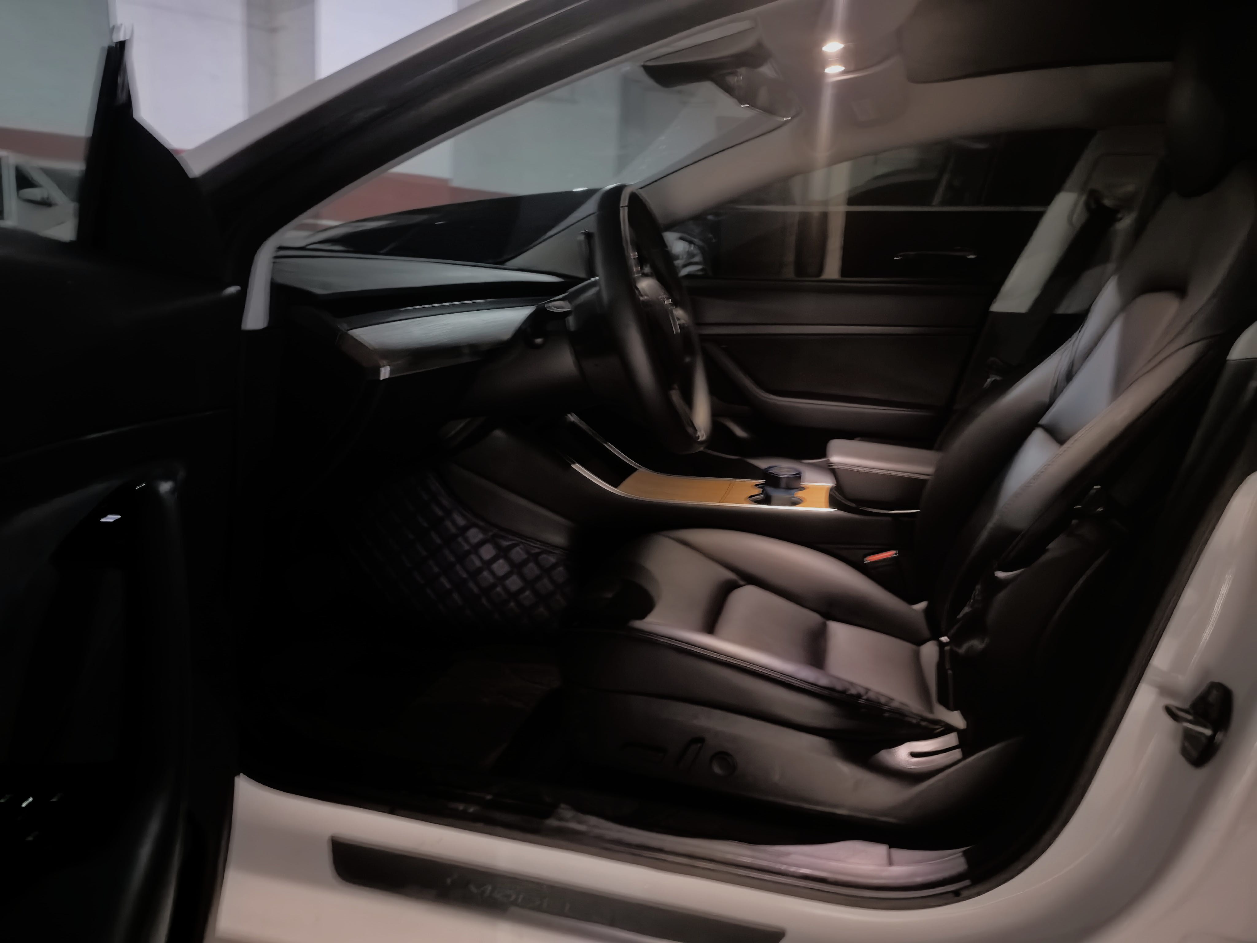 Tesla Model 3 2020 immagine di auto #4