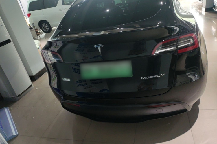 Tesla Model Y 2021 car image #6
