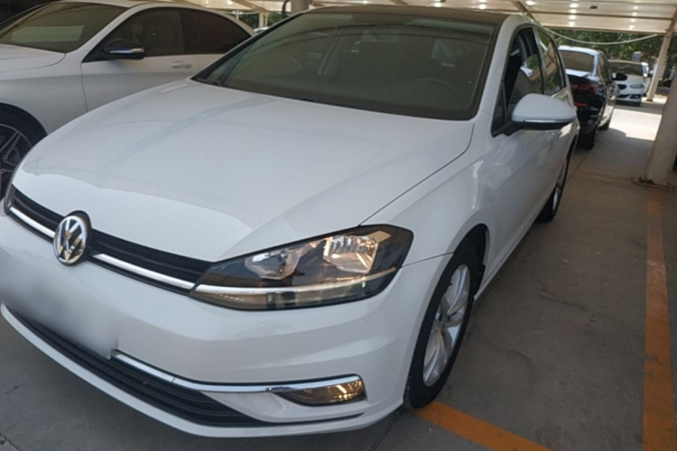 Volkswagen Golf 2019 car image #2
