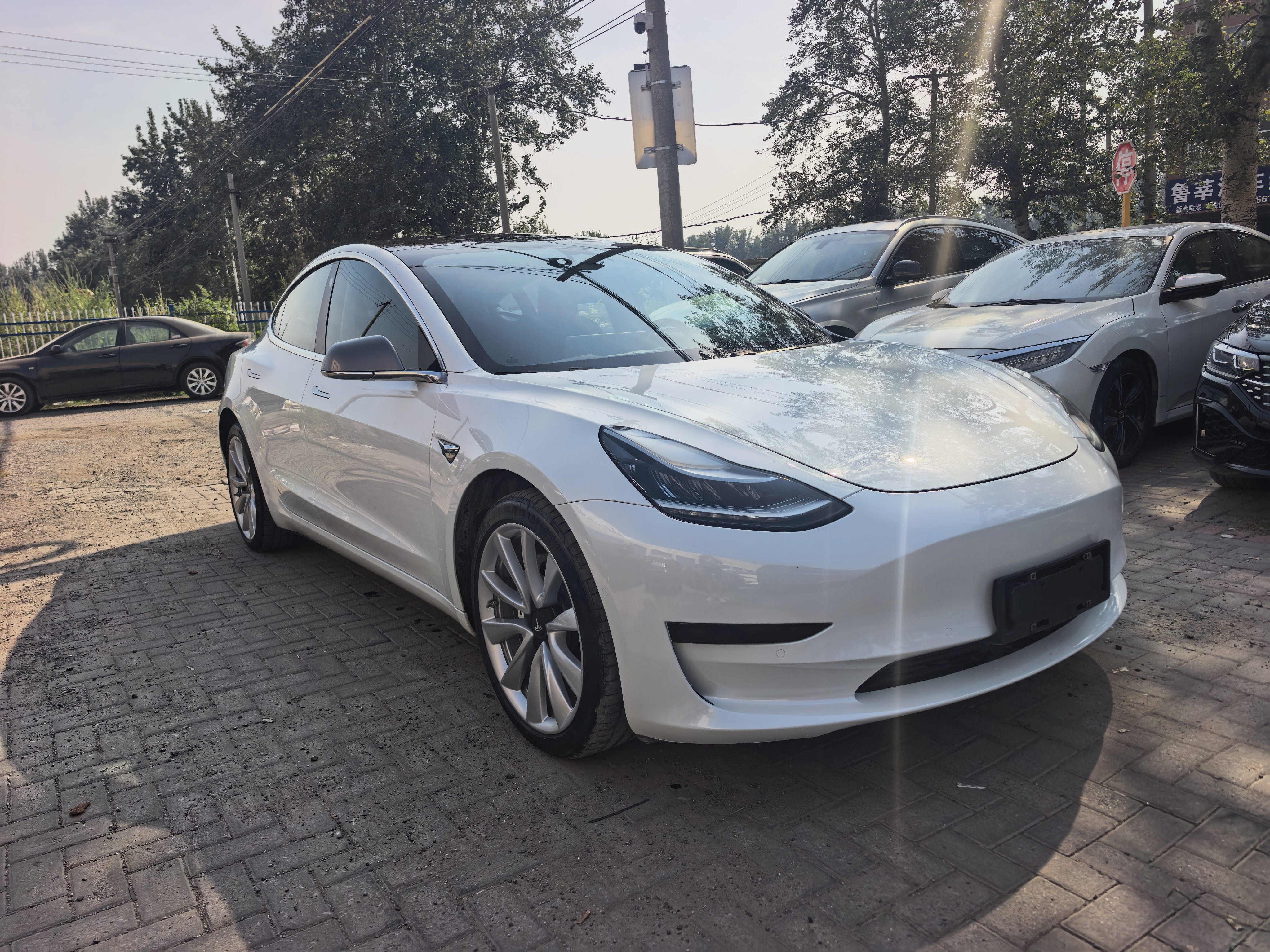Tesla Model 3 2020 immagine di auto #2