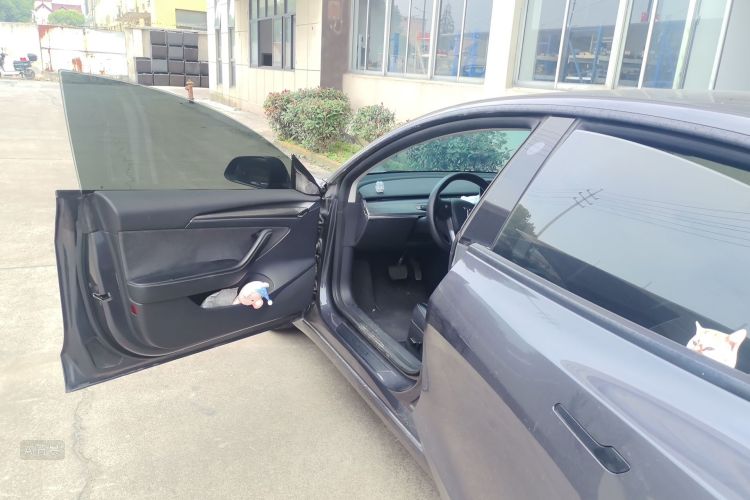 Tesla Model 3 2022 #18 Tesla Model 3 2022 car image #18