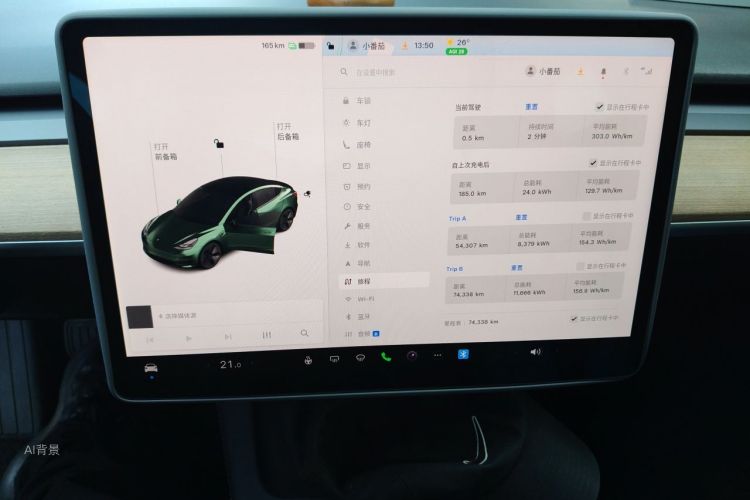 Tesla Model 3 2021 #13 Tesla Model 3 2021 car image #13