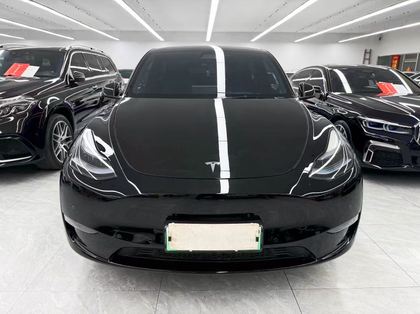 Tesla Model Y 2023 car image #2
