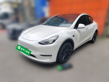 Tesla Model Y 2021 Tesla Model Y 2021 car image