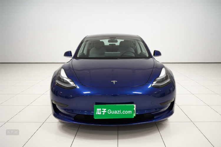 Tesla Model 3 2020 #3 Tesla Model 3 2020 car image #3