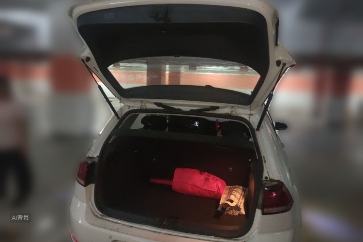 Volkswagen Golf 2018 car image #21