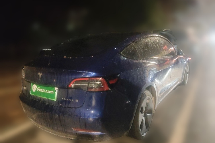 Tesla Model 3 2023 #5 Tesla Model 3 2023 car image #5