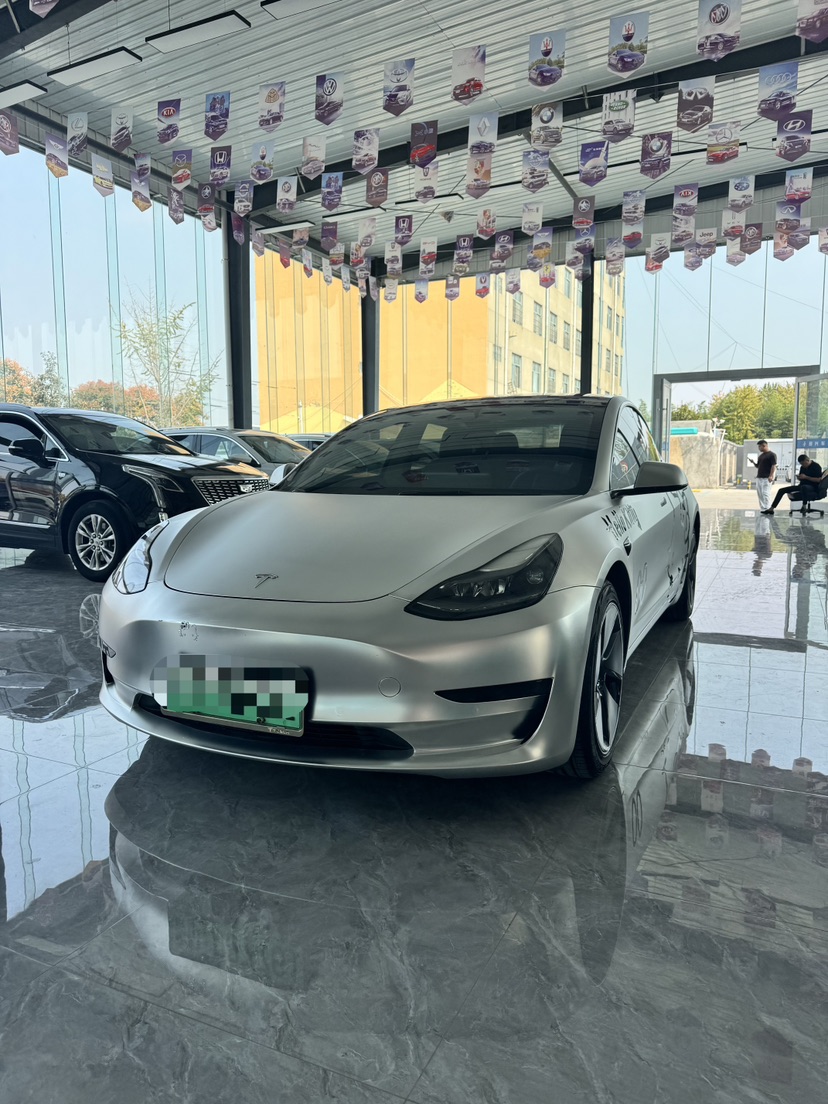 Tesla Model 3 2021 car image 