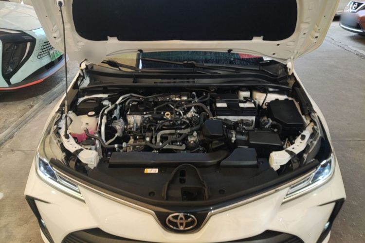 Toyota Corolla 2022 #20 Toyota Corolla 2022 car image #20