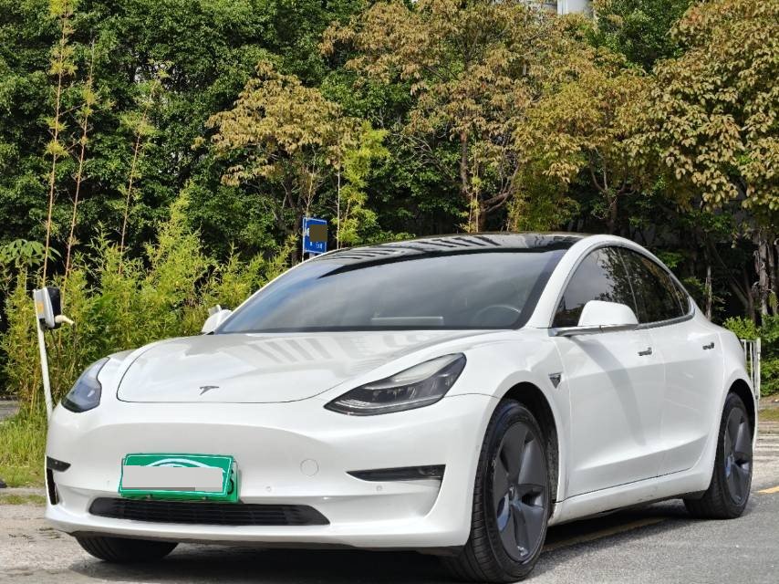 Tesla Model 3 (Imported) 2019 Tesla Model 3 (Imported) 2019 car image