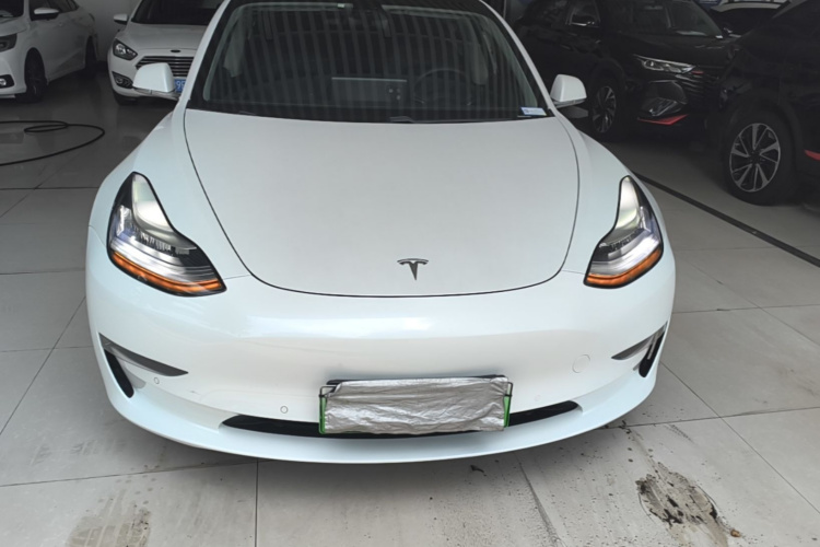 Tesla Model 3 2020 immagine di auto #3