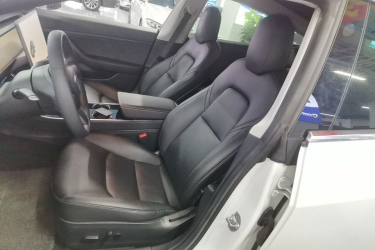 Tesla Model 3 2020 car image #15