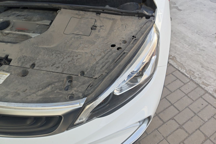 GEELY Emgrand GS 2019 car image #29
