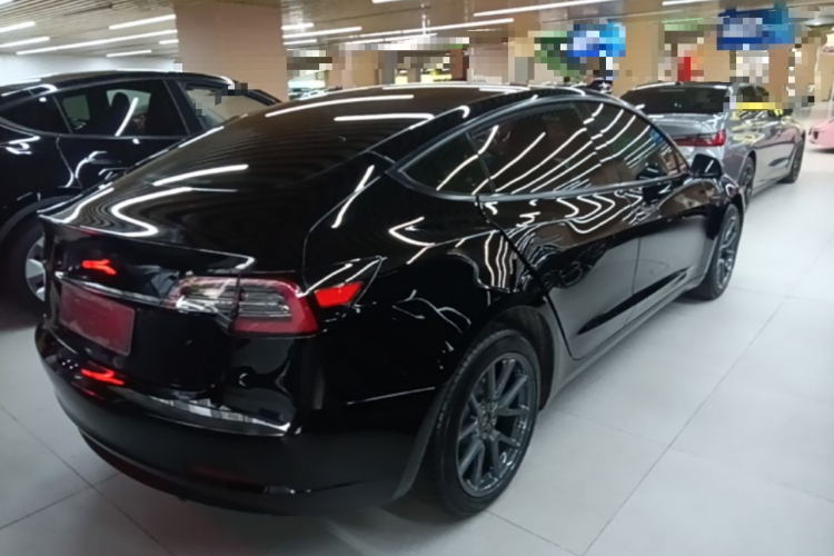 Tesla Model 3 2021 #7 Tesla Model 3 2021 car image #7
