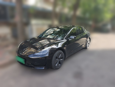 Tesla Model 3 2021 Tesla Model 3 2021 immagine di auto
