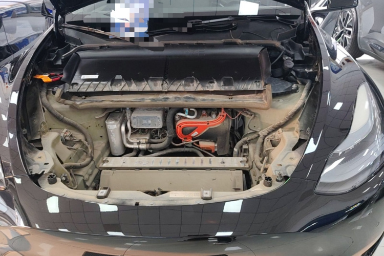 Tesla Model Y 2023 #20 Tesla Model Y 2023 car image #20