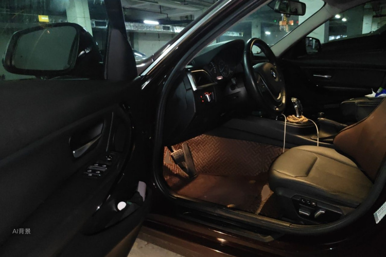 BMW 3 Series 2016 car image #18