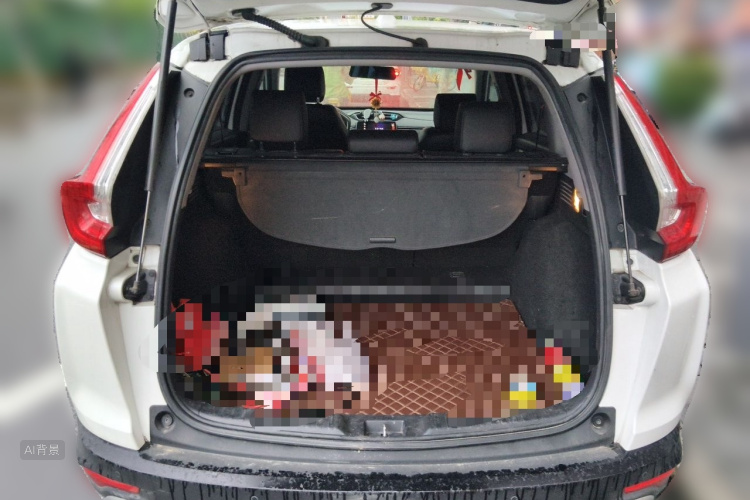 Honda CR-V 2018 car image #21