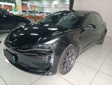 Tesla Model 3 2021 car image 