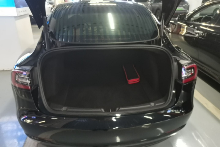 Tesla Model 3 2021 car image #19