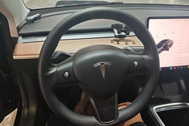Tesla Model 3 2021 #11 Tesla Model 3 2021 car image #11