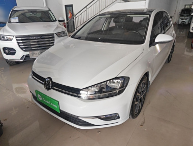 Volkswagen Golf 2019 Volkswagen Golf 2019 car image