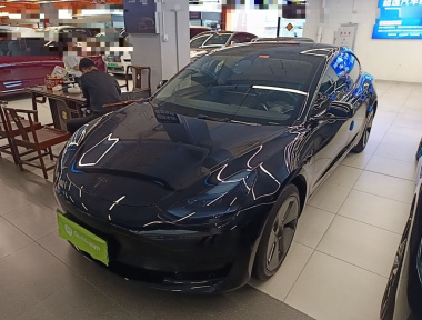 Tesla Model 3 2021 Tesla Model 3 2021 car image