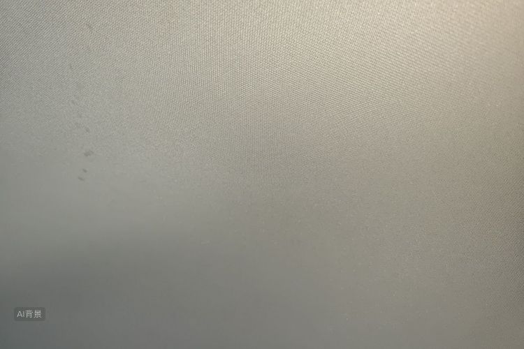GEELY Binray 2021 car image #20