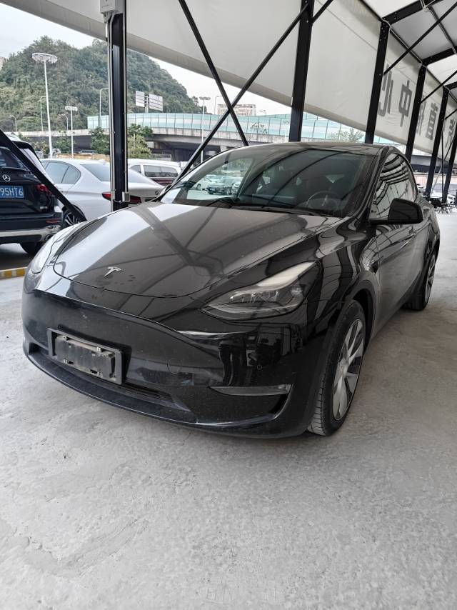 Tesla Model Y 2021 Tesla Model Y 2021 car image