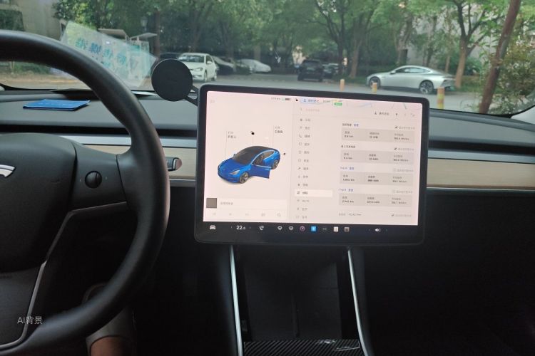 Tesla Model 3 2020 car image #15