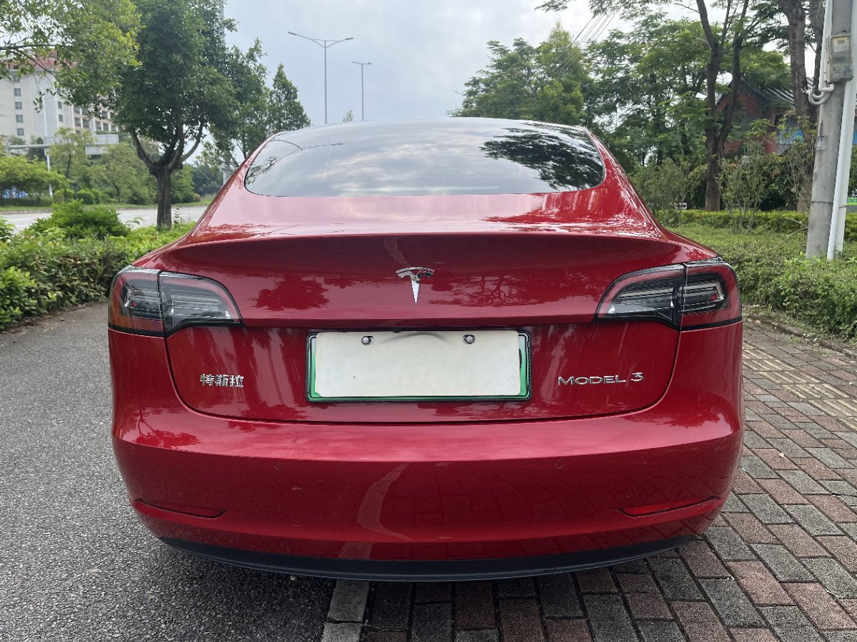 Tesla Model 3 2021 car image #8