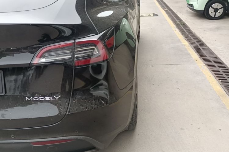 Tesla Model Y 2021 #8 Tesla Model Y 2021 car image #8