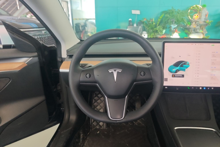 Tesla Model 3 2022 immagine di auto #11