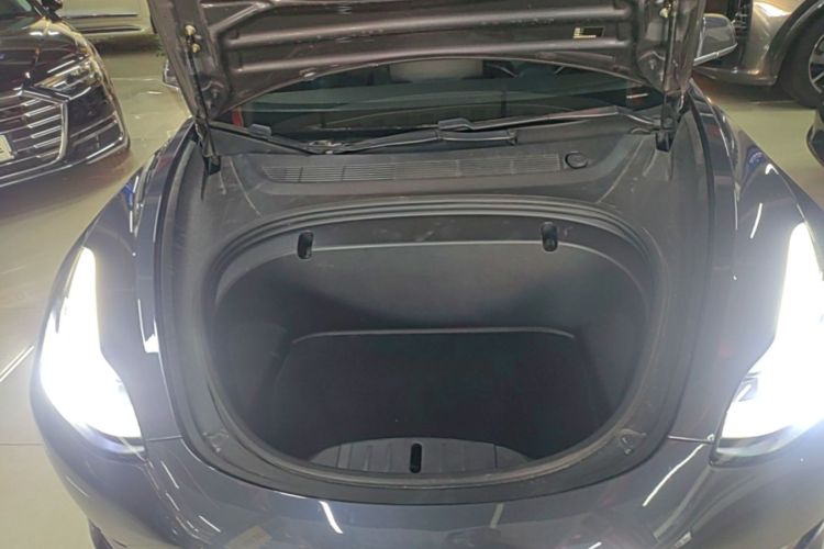 Tesla Model 3 2020 car image #22