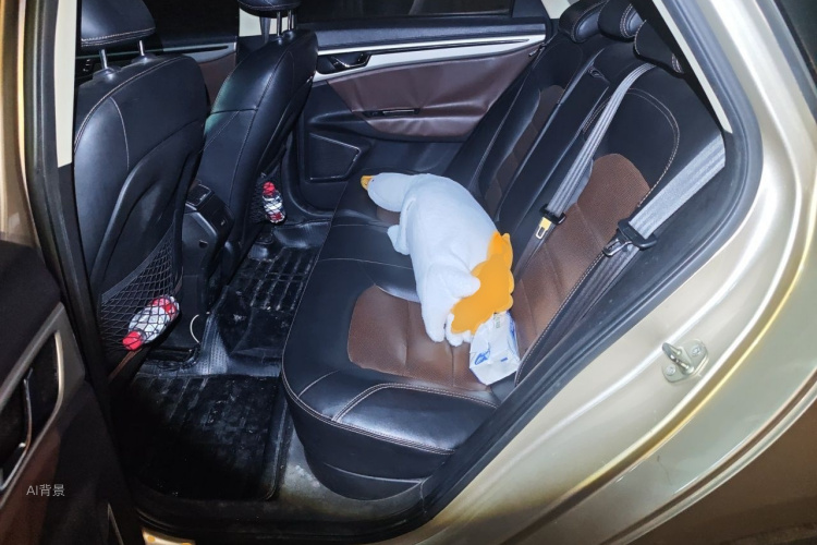 GEELY Emgrand GL 2016 car image #19